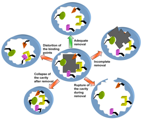 #~/img/chem/molecularly-imprinted-polymer/Challenges_of_Template_Removal_for_Molecular_Imprinted_Polymers-lossless.webp