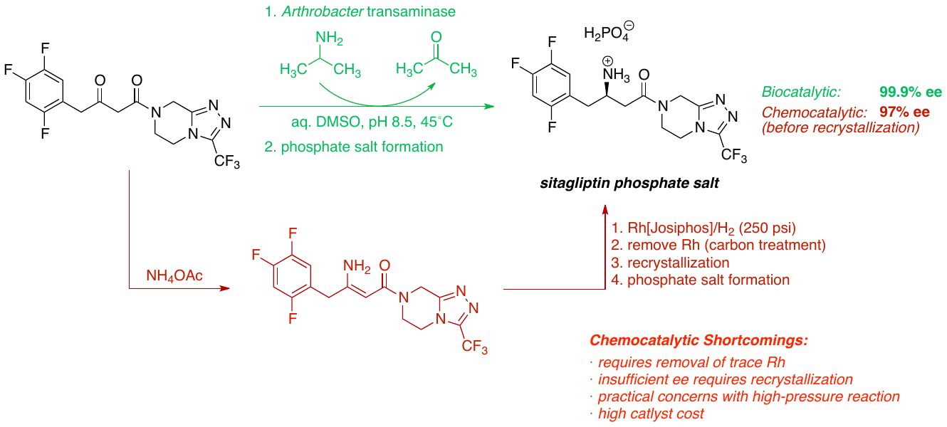 #~/img/chem/process-chemistry/Sitagliptin_biosynthetic_route.png-1-lossless.webp