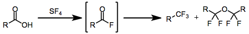 #~SF4Scope6.webp