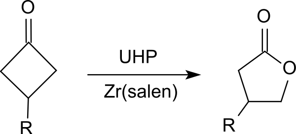 #~Baeyer-Villiger-Oxidation_mit_Cyclobutanonen.svg.webp